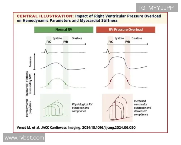 大师赛分析:西安排球队在比赛中的个人能力与表现评估 大师赛分析:西安排球队在比赛中的个人能力与表现评估