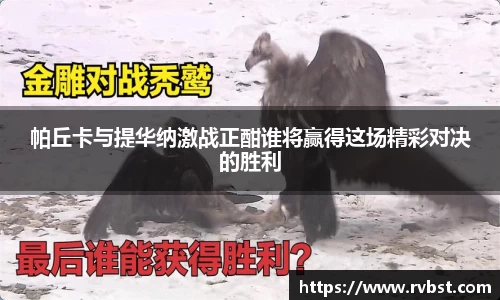 九游会(J9) - 真人游戏第一品牌